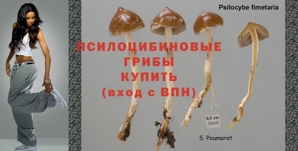 jwh Баксан
