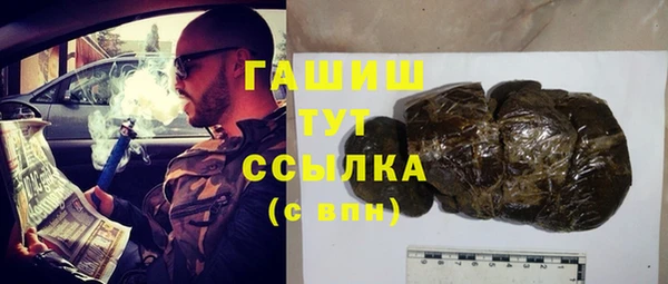 гидра Арсеньев